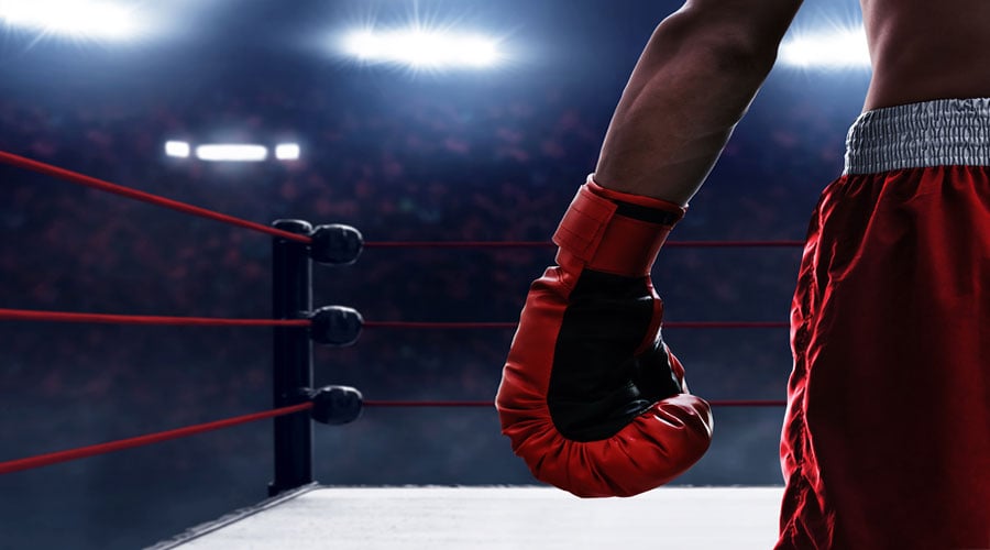 Boxer in Ring
